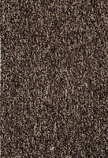 Ковролин AW Loop Loop 2435 фото 1 | FLOORDEALER